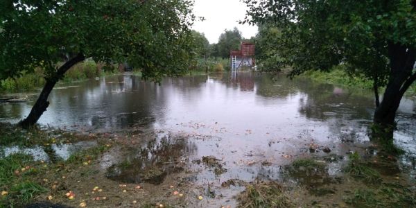 Powódź w ROD Kalina
